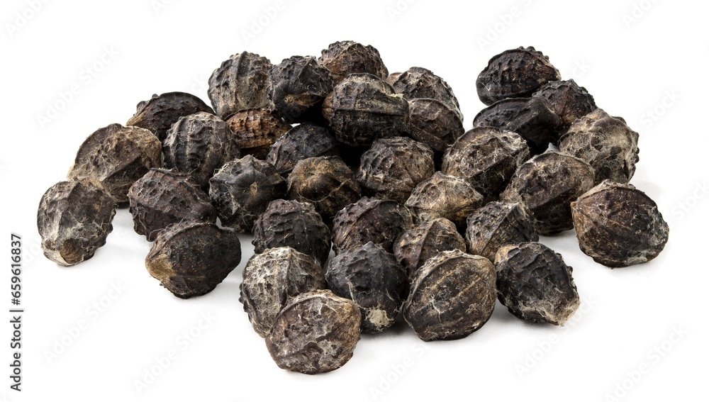 Flower seeds close-up on a white background Flower seeds close-up on a white background