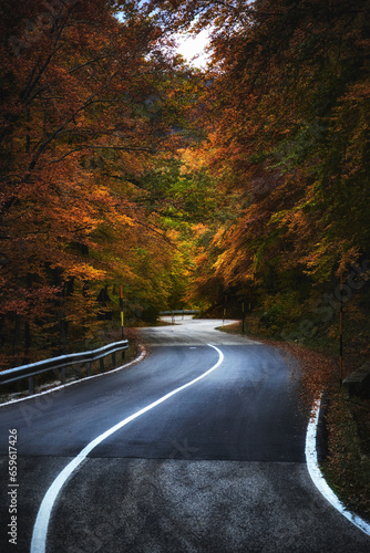 I caldi colori d'autunno nel parco nazionale d'Abruzzo