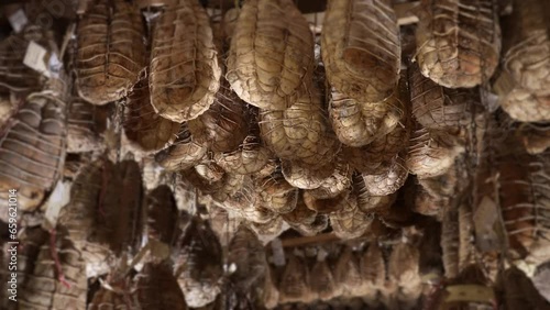 Culatello di Zibello in the cellar photo