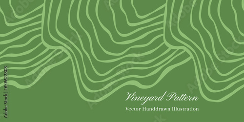 Vineyard seamless vector handdrawn pattern.