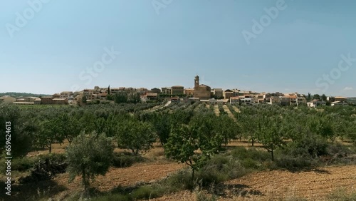 Vista de pueblo en entorno rural con olivos y almendros