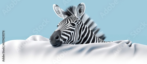 a zebra curled up in bed