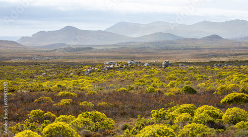 Cape of Good Hope, South Africa