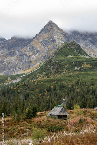 Hala Gąsienicowa, Tatry 