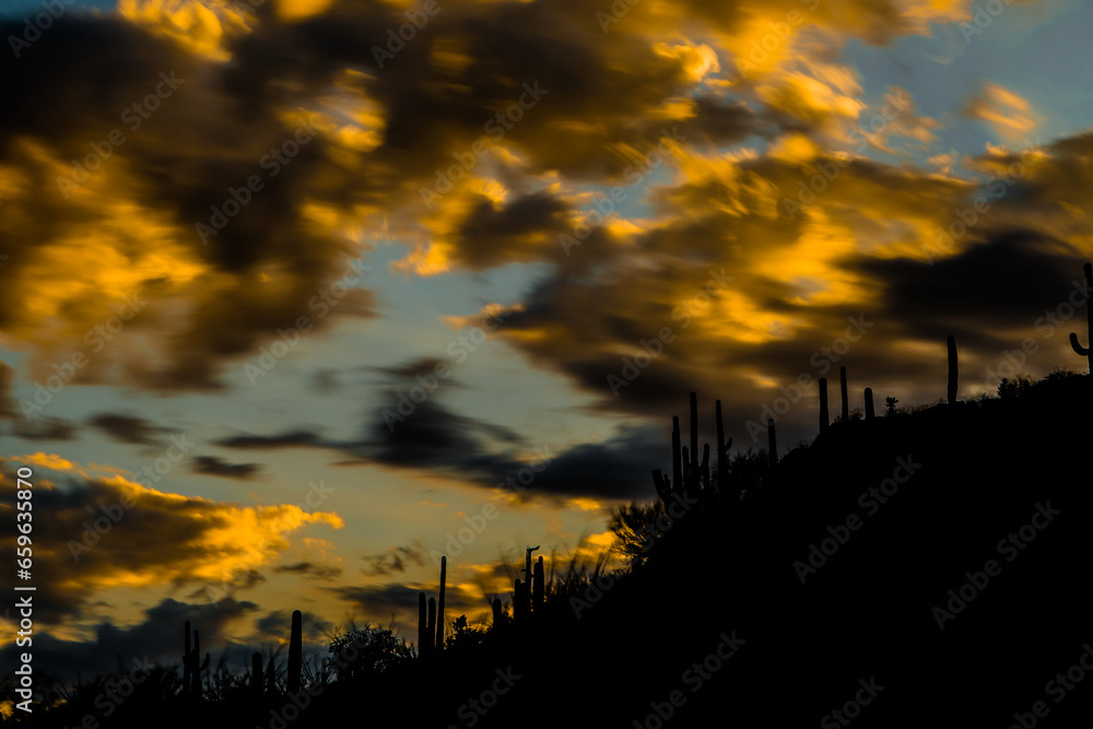 Dreamy vista of a forested hillside of Saguaro cactus in silhouette, paired with an otherworldly cloudscape during sunset’s magic hour. 