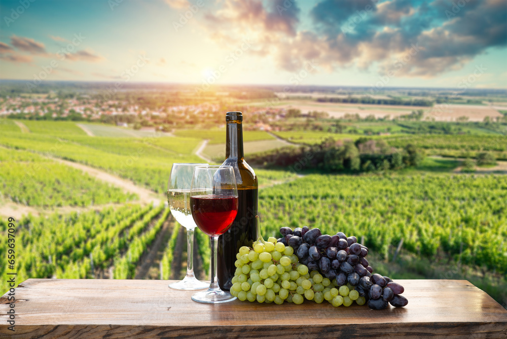 Glass Of Wine With Grapes And Barrel On A Sunny Background. Italy Tuscany Region. High quality photo