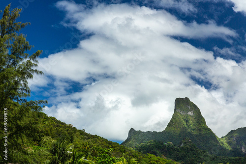Wallpaper Mural The island of Moorea, French Polynesia Torontodigital.ca