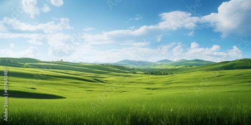 Green Field with a Small Stream Flowing Through, Set Against a Summer Blue Sky, Emphasizing the Beauty of Freshwater and the Serenity of Nature