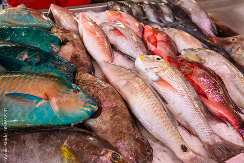 Variety of Fresh Seafood for Sale at a Fish Market