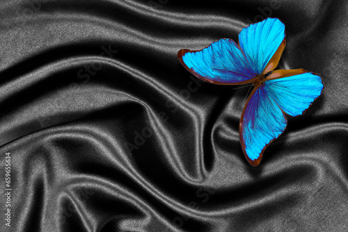 bright blue tropical morpho butterfly on black silk fabric. top view photo