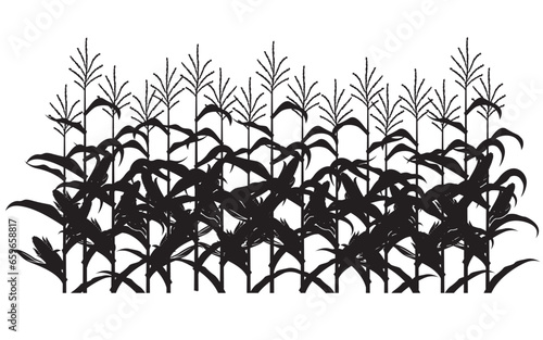 corn field illustration isolated on white background © Alexkava