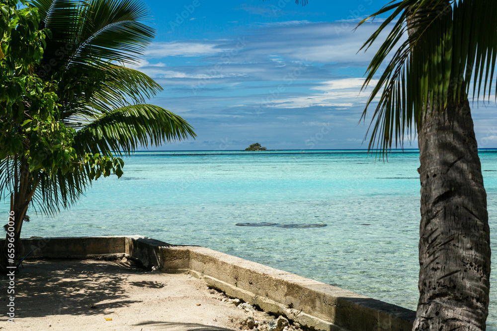 Obraz premium Tranquil Tropical Paradise: Beach with Palm Trees and Clear Blue Ocean of Rangaria, French Polynesia