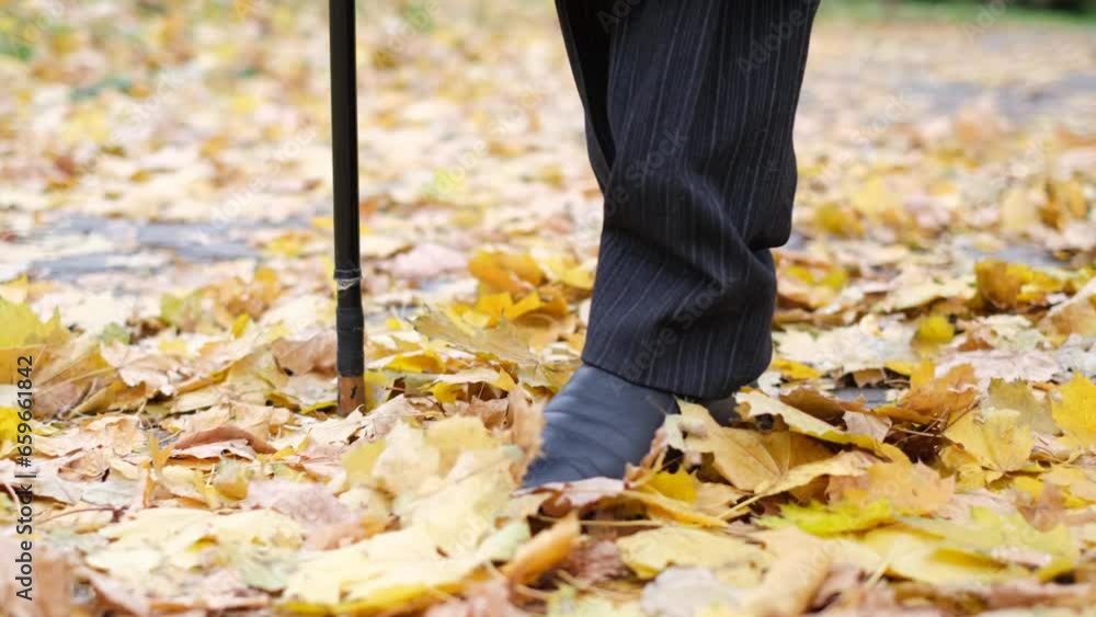 An old grandfather walks through an autumn park, a feeling of loneliness, deep melancholy. Close up An old grandfather walks through an autumn park, a feeling of loneliness, deep melancholy. Close up