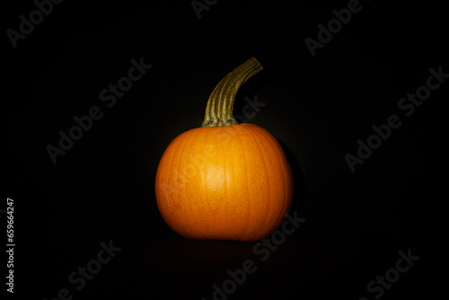 Pumpkin in darkness. Halloween mood.