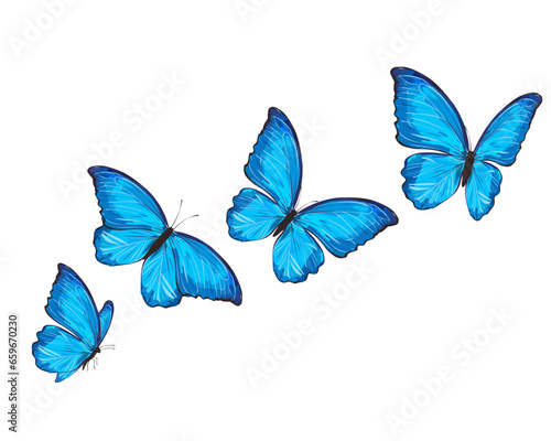 set of butterfly © gltekin
