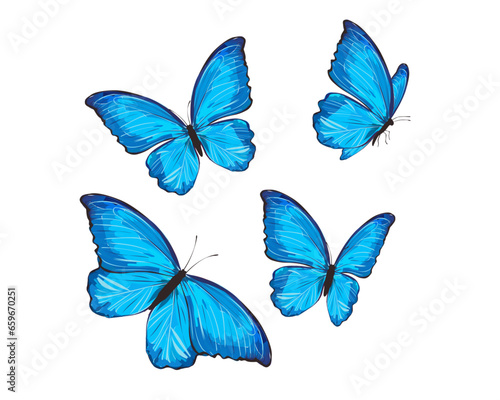 set of butterflies isolated © gltekin