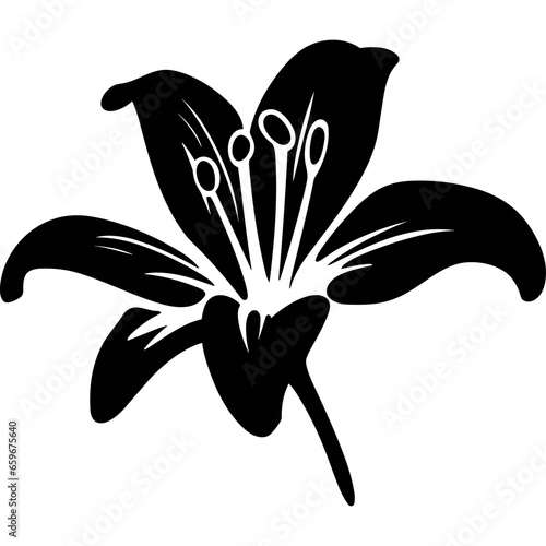lily flower blossom black silhouette