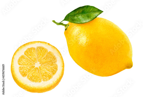 Close-up view watercolor illustration of a lemon, isolated png-file.