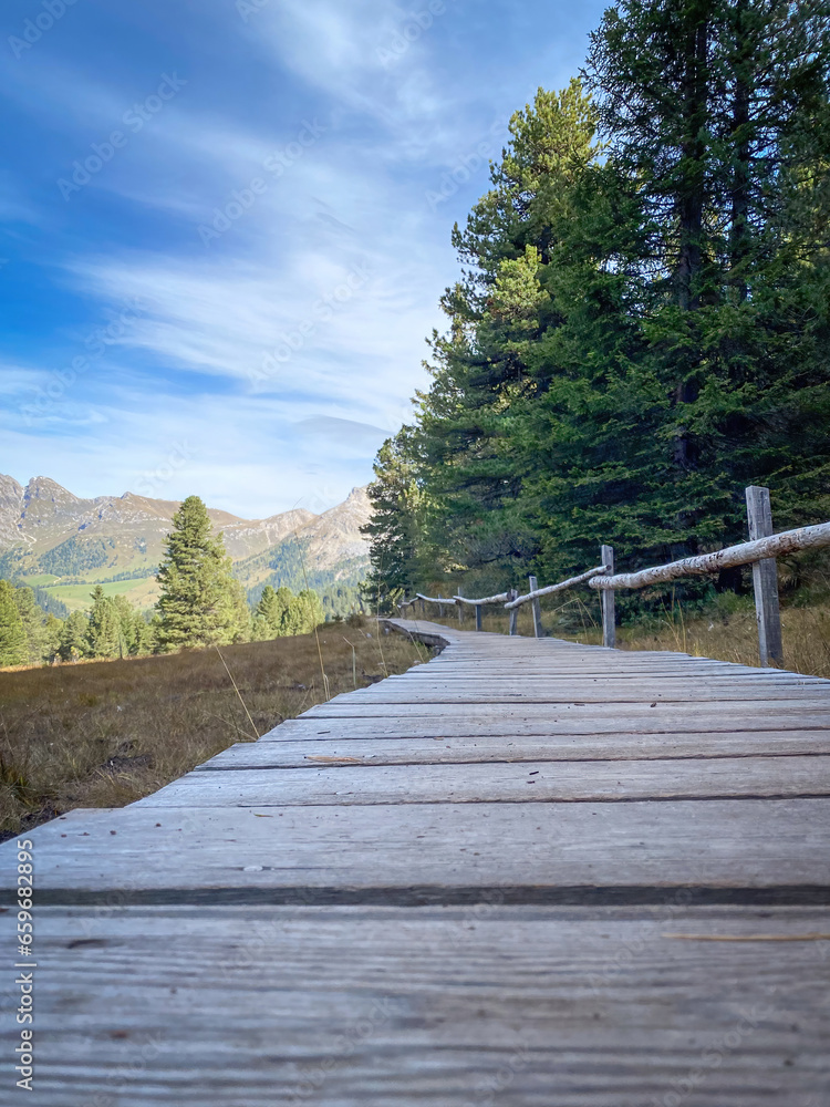 Low angle view of wooden boardwalk as part of Adolf-Munkel-Weg hiking trail