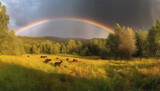 Tranquil scene of majestic nature rainbow, meadow, mountain range, livestock generated by AI