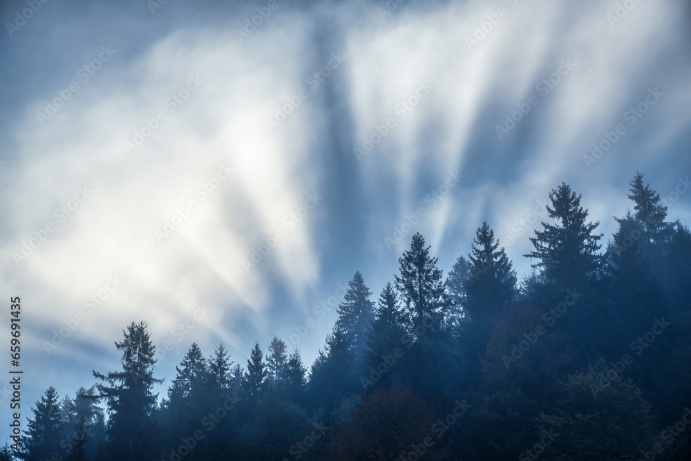 Beautiful sunbeams and silhouettes of trees in foggy morning in Carpathian mountains in autumn. Landscape with top of the pine trees in fog and sun rays in fall. Nature background. Colorful scenery Beautiful sunbeams and silhouettes of trees in foggy morning in Carpathian mountains in autumn. Landscape with top of the pine trees in fog and sun rays in fall. Nature background. Colorful scenery