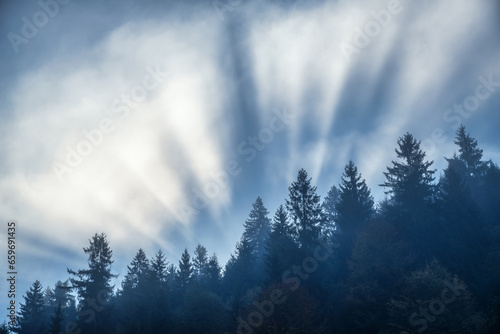 Beautiful sunbeams and silhouettes of trees in foggy morning in Carpathian mountains in autumn. Landscape with top of the pine trees in fog and sun rays in fall. Nature background. Colorful scenery