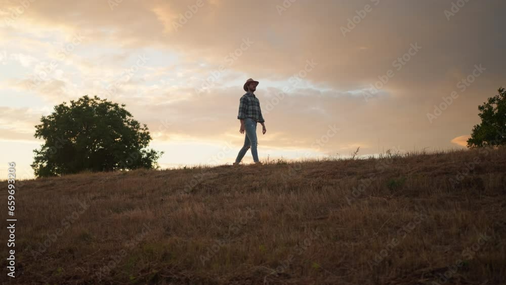 Farmer walking down the wheat field in sunset Farmer walking down the wheat field in sunset
