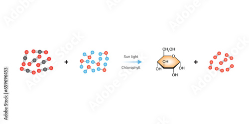 Photosynthesis Equation Scientific Design. Vector Illustration.