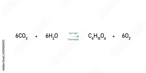 Photosynthesis Equation Scientific Design. Vector Illustration.
