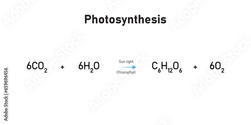Photosynthesis Equation Scientific Design. Vector Illustration. photo