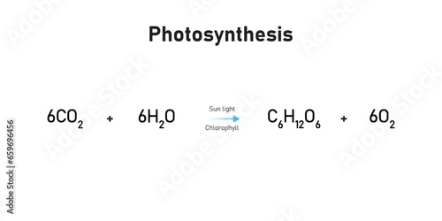 Photosynthesis Equation Scientific Design. Vector Illustration.