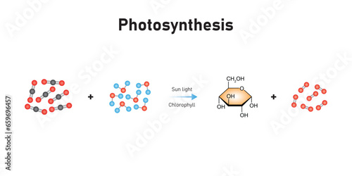Photosynthesis Equation Scientific Design. Vector Illustration.
