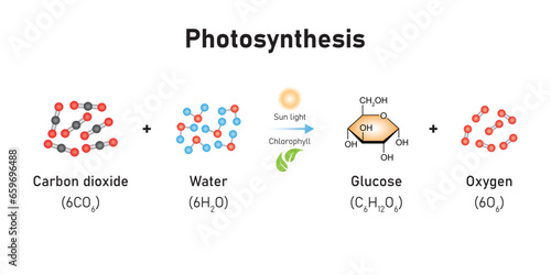 Photosynthesis Equation Scientific Design. Vector Illustration.