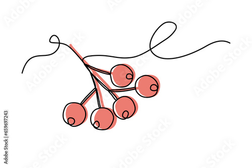 Rowan branch with red berries, line art with color, continuous line vector