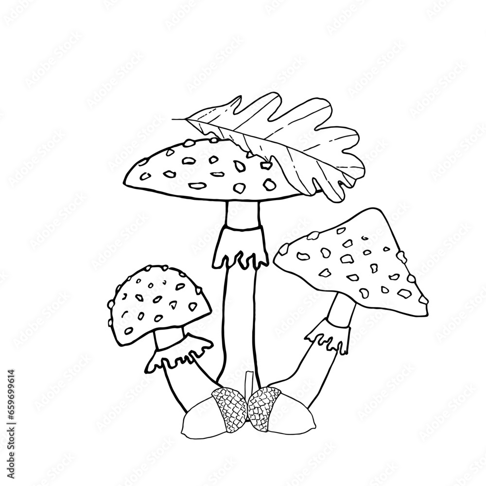 Composition of mushrooms with leaf and acorns. Hand drawn vector illustration. For coloring, cards, printing, packaging, invitations, business cards, advertising Composition of mushrooms with leaf and acorns. Hand drawn vector illustration. For coloring, cards, printing, packaging, invitations, business cards, advertising
