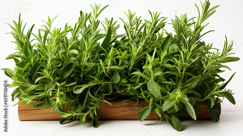 fresh mediterranean herbs isolated over a transparent background rosemary, sage, basil and thyme, farm fresh food and healthy diet herbal design elements
