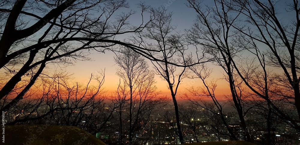 Obraz premium autumn