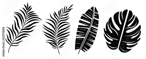 Beautifil Palm Tree Leaf Silhouette Background