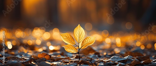 a brigth yellow leaf is in front of a light shining, in the style of bokeh panorama, gold leaf
