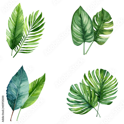 Watercolor set of tropical leaf, Exotic plants, palm leaves, Generative Ai.