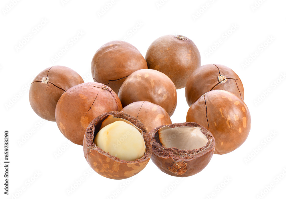 macadamia nuts isolated on transparent png macadamia nuts isolated on transparent png