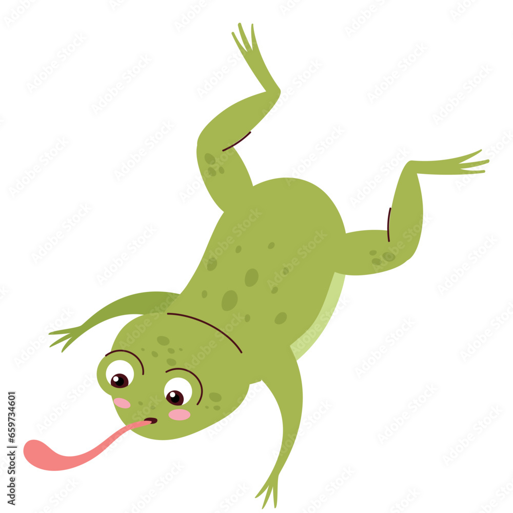 Obraz premium frog eating fly design