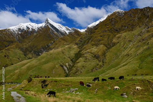 Mount Aspiring National Park in South Island, New Zealand