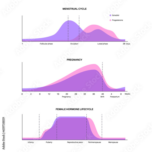 Hormones in pregnancy