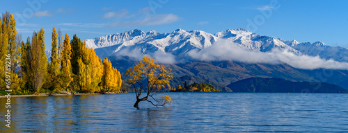 Panorama of Wanaka tree and Lake Wanaka in autumn, New Zealand