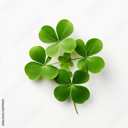 four leaf clover