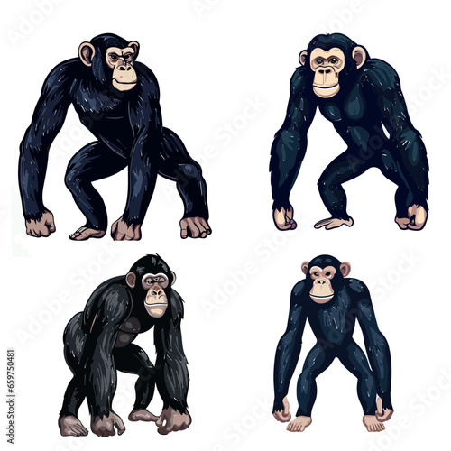 Chimpanzee isolated on white background illustration