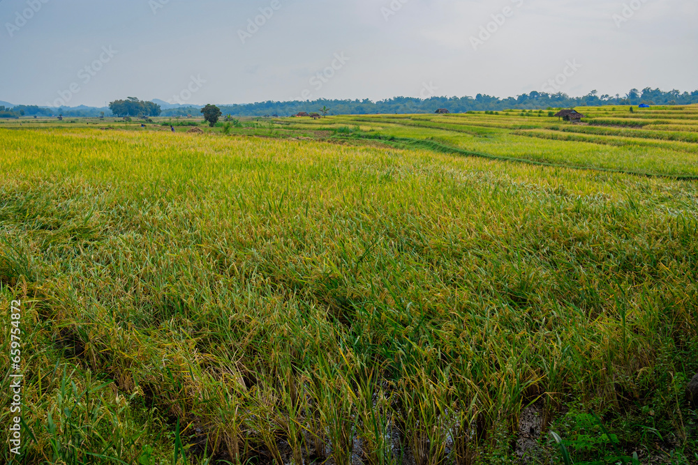 Fototapeta premium a beautiful countryside feel accompanied by blue skies