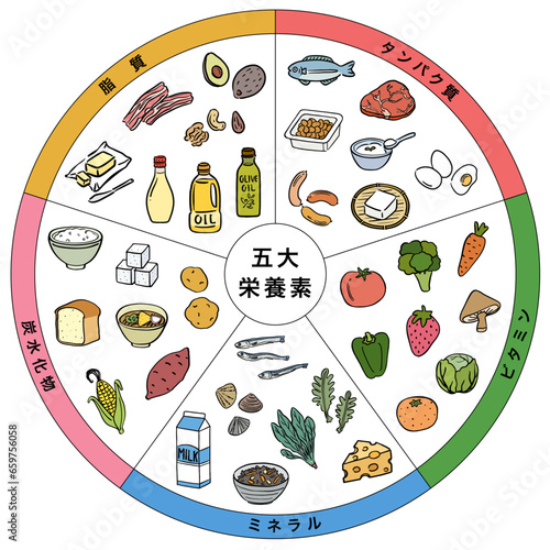 五大栄養素　食品　一覧表