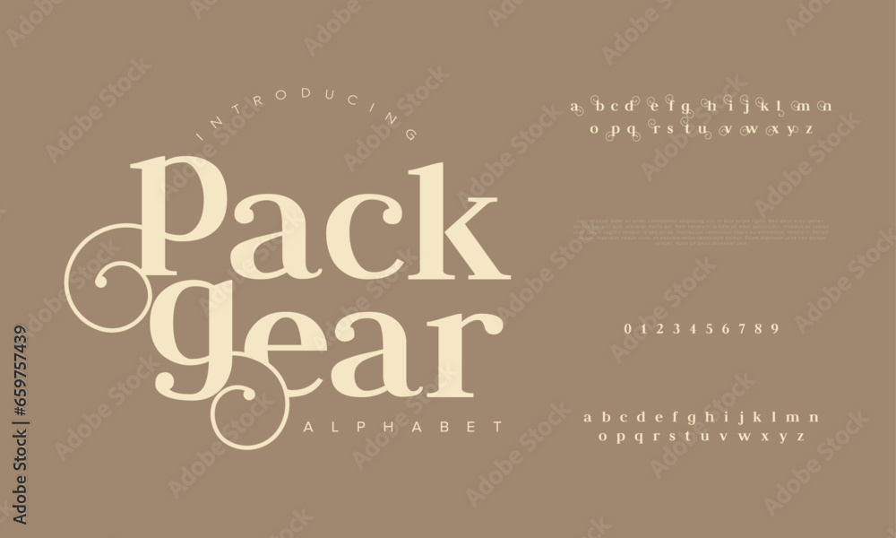 Packgear premium luxury elegant alphabet letters and numbers. Elegant wedding typography classic serif font decorative vintage retro. Creative vector illustration